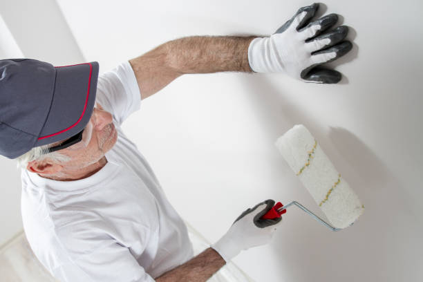 Best Drywall Crack Repair  in Port Huron, MI